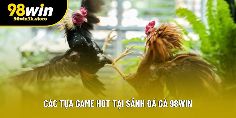 Các tựa game hot tại sảnh đá gà 98WIN Các tựa game hot tại sảnh đá gà 98WIN