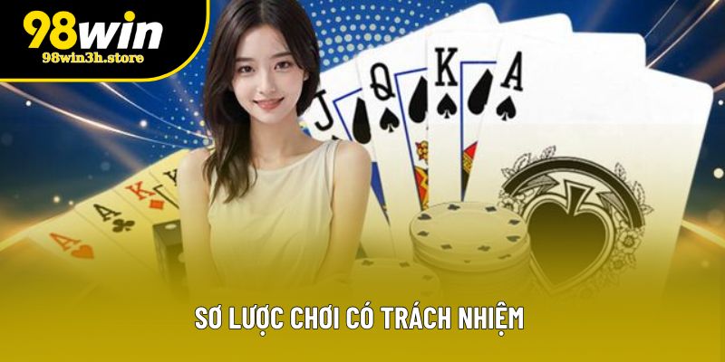 Sơ lược chơi có trách nhiệm 