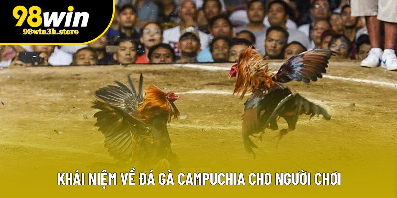 Khái niệm về đá gà campuchia cho người chơi Khái niệm về đá gà campuchia cho người chơi