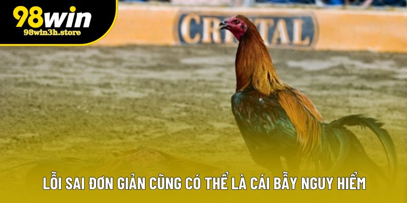Lỗi sai đơn giản cũng có thể là cái bẫy nguy hiểm Lỗi sai đơn giản cũng có thể là cái bẫy nguy hiểm
