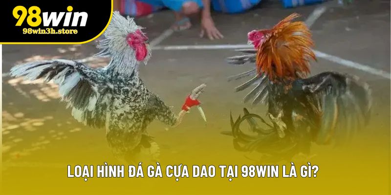 Loại hình đá gà cựa dao tại 98WIN là gì? Loại hình đá gà cựa dao tại 98WIN là gì?