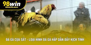 Đá Gà Cựa Sắt - Loại Hình Đá Gà Hấp Dẫn Đầy Kịch Tính