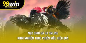 Mẹo Chơi Đá Gà Online - Kinh Nghiệm Thực Chiến Siêu Hiệu Quả