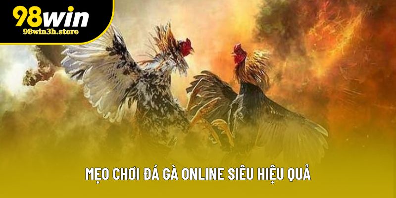 Mẹo chơi đá gà online siêu hiệu quả Mẹo chơi đá gà online siêu hiệu quả