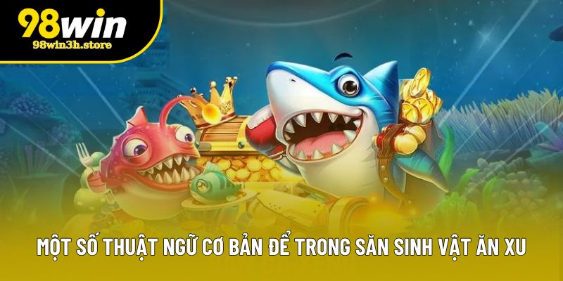 Một số thuật ngữ cơ bản để trong săn sinh vật ăn xu Một số thuật ngữ cơ bản để trong săn sinh vật ăn xu
