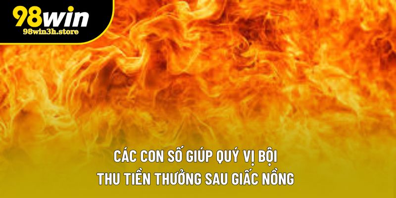 Các con số giúp quý vị bội thu tiền thưởng sau giấc nồng Các con số giúp quý vị bội thu tiền thưởng sau giấc nồng