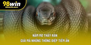 Nằm Mơ Thấy Rắn | Giải Mã Những Thông Điệp Tiềm Ẩn