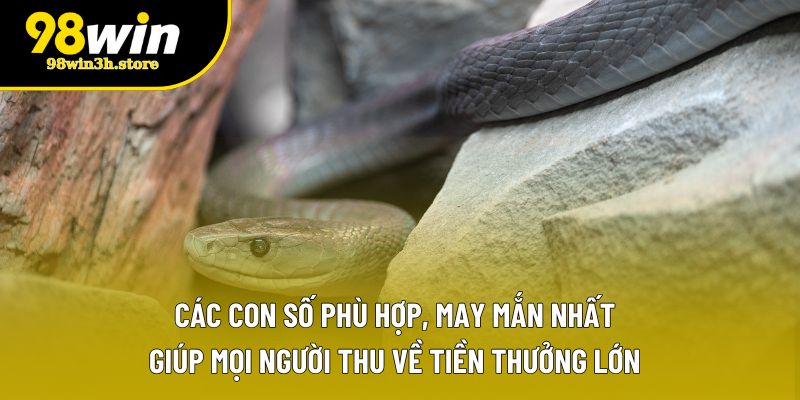 Các con số phù hợp, may mắn nhất giúp mọi người thu về tiền thưởng lớn Các con số phù hợp, may mắn nhất giúp mọi người thu về tiền thưởng lớn