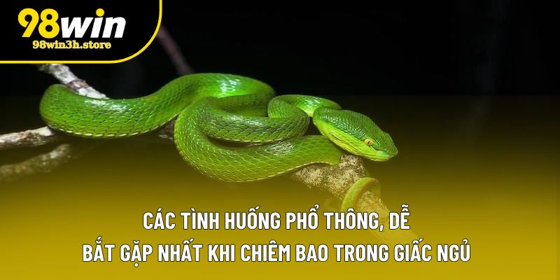 Các tình huống phổ thông, dễ bắt gặp nhất khi chiêm bao trong giấc ngủ Các tình huống phổ thông, dễ bắt gặp nhất khi chiêm bao trong giấc ngủ
