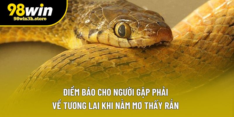 Điềm báo cho người gặp phải về tương lai khi nằm mơ thấy rắn Điềm báo cho người gặp phải về tương lai khi nằm mơ thấy rắn