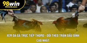 Xem Đá Gà Trực Tiếp Thomo - Dõi Theo Trận Đấu Đỉnh Cao Nhất